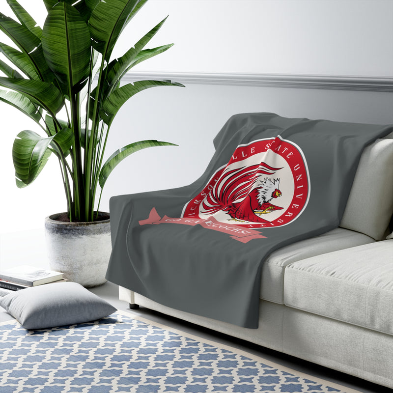 The Go Gamecocks Banner | Sherpa Fleece Blanket