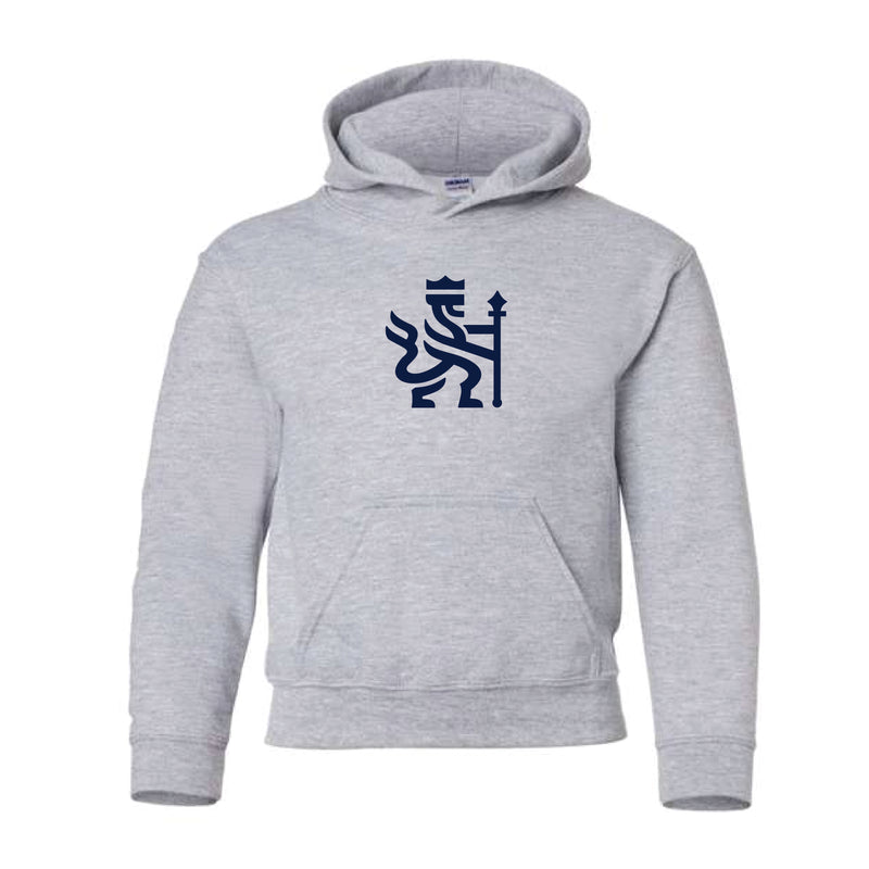 The ACC Academy Logo | Youth Pigment Sport Grey Hoodie