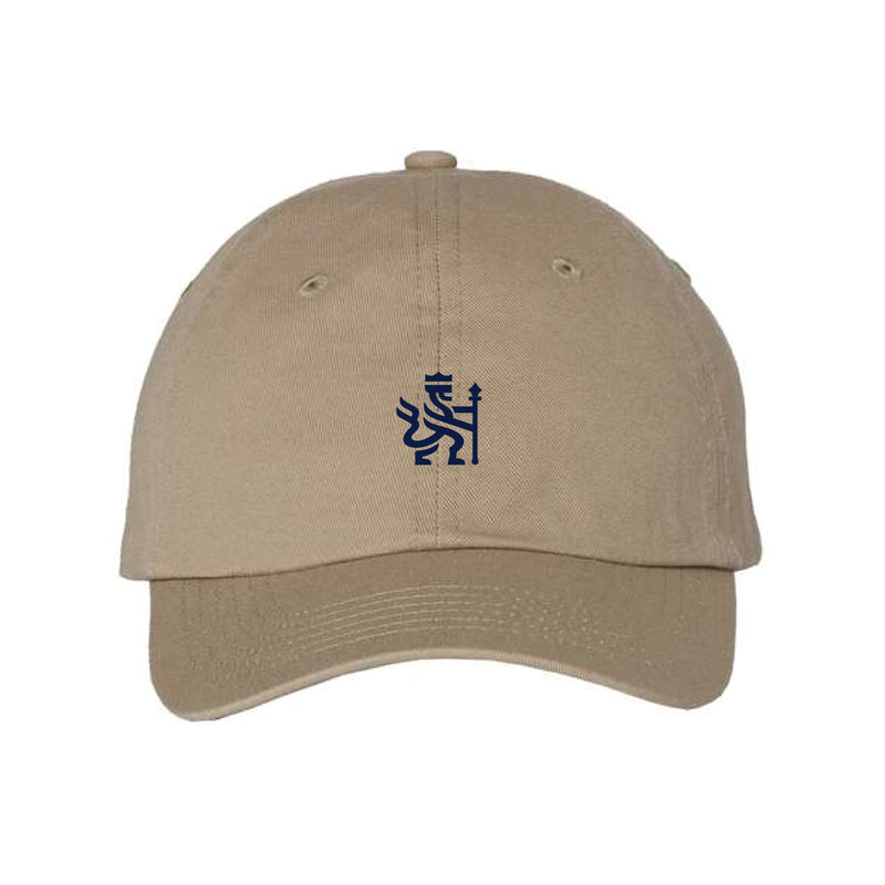 The ACC Academy Logo | Khaki Youth Dad Hat