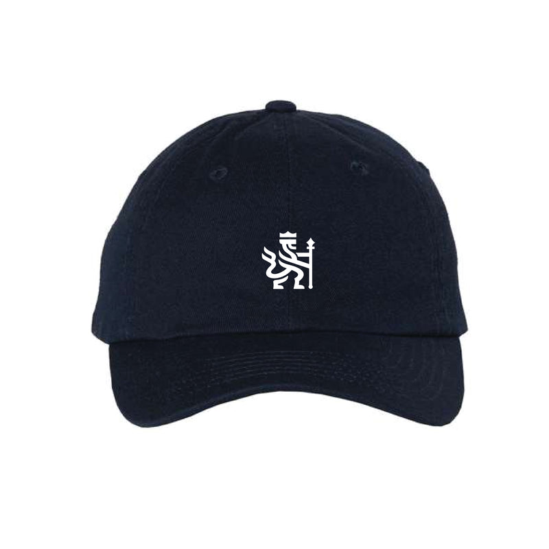 The ACC Academy Logo | Navy Youth Dad Hat