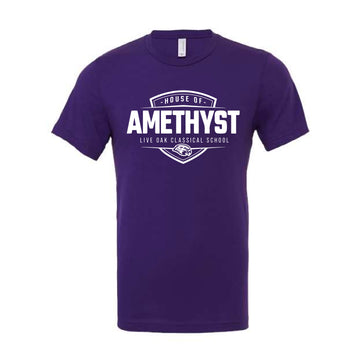 The Amethyst | Team Purple Tee