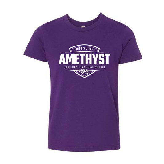 The Amethyst | Team Purple Youth Tee