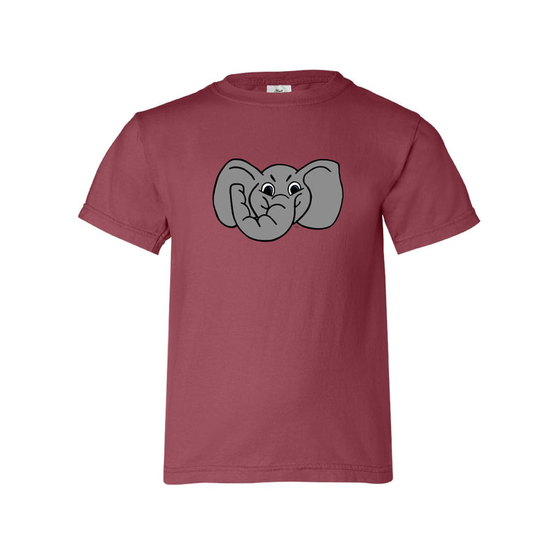 The Big AL Head | Youth Crimson Tee