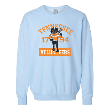 The Cheering Smokey 1794 | Hydrangea Sweatshirt