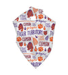 The Sophia Scarf | Clemson