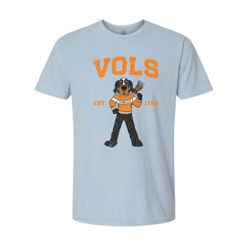 The Cheers for Smokey | Washed Stonewashed Denim Tee