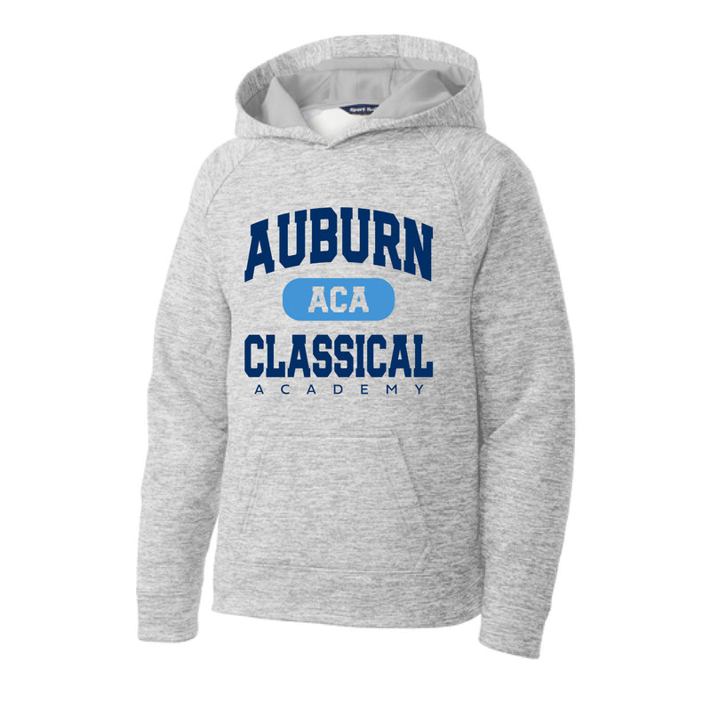 The Collegiate ACA | Silver Electric Youth Hooded Pullover