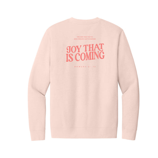 The Joy That is Coming | Adult Rosewater Pink Sweatshirt