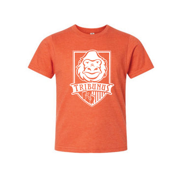 The Forest Trail Tribunus | Heather Orange Oversized Youth Tee