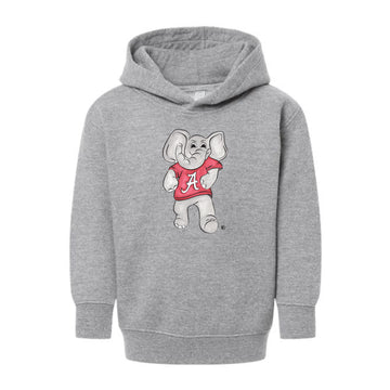 The Vintage Big Al | Toddler Heather Hoodie
