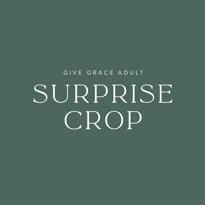 The Give Grace Surprise Comfort Color Cropped Tee