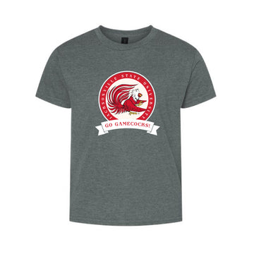 The Go Gamecocks Banner | Youth Dark Heather Tee