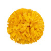 The S&G Pom Pom | Individual