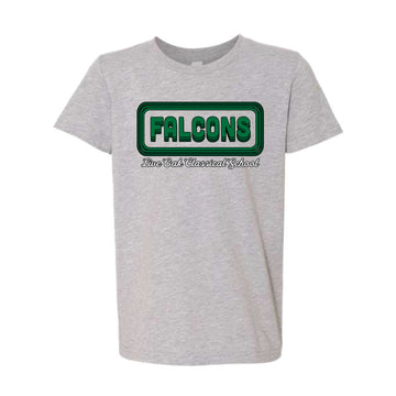 The Groovy Falcons | Youth Athletic Heather Tee