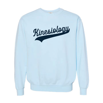 The Kinesiology Swoosh | Adult Chambray Crewneck Sweatshirt