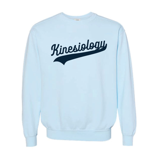 The Kinesiology Swoosh | Adult Chambray Crewneck Sweatshirt