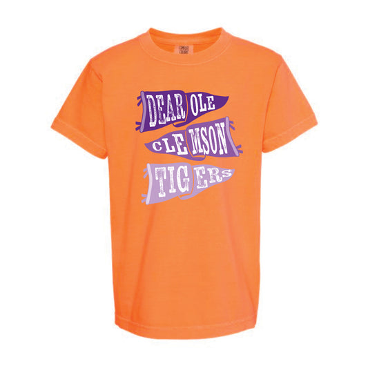 The Ole Clemson Flags | Youth Melon Tee