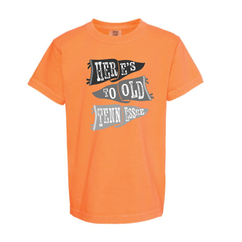 The Ole Tennessee Flags | Youth Melon Tee