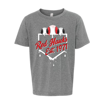 The Red Hawks Baseball | Youth Dark Heather Grey Tee