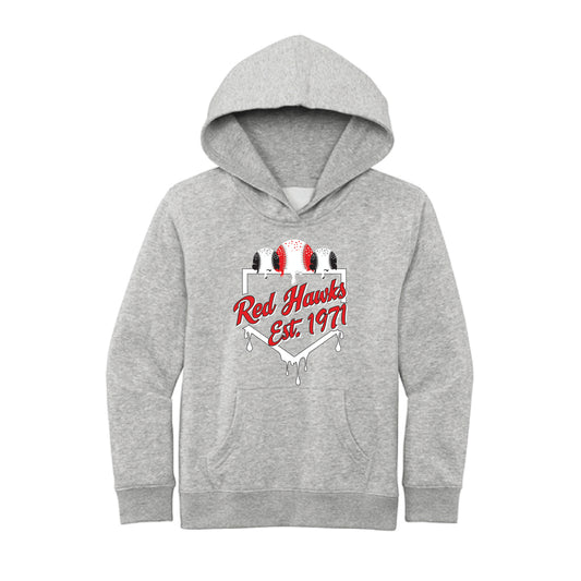 The Red Hawks Baseball | Youth Light Heather Grey Hoodie