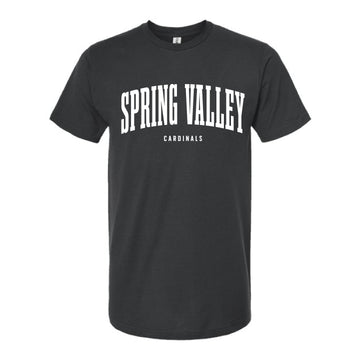 The Spring Valley Arch | Coal Oversized Tee