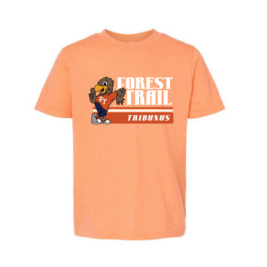 The Vintage Forest Trail Tribunus | Heather Cantaloupe Oversized Youth Tee