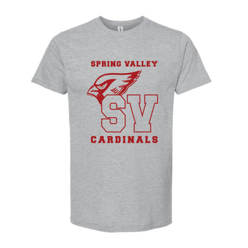 The Vintage Spring Valley | Heather Grey Oversized Tee