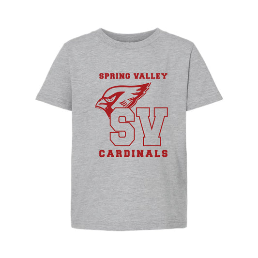 The Vintage Spring Valley | Heather Grey Youth Oversized Tee