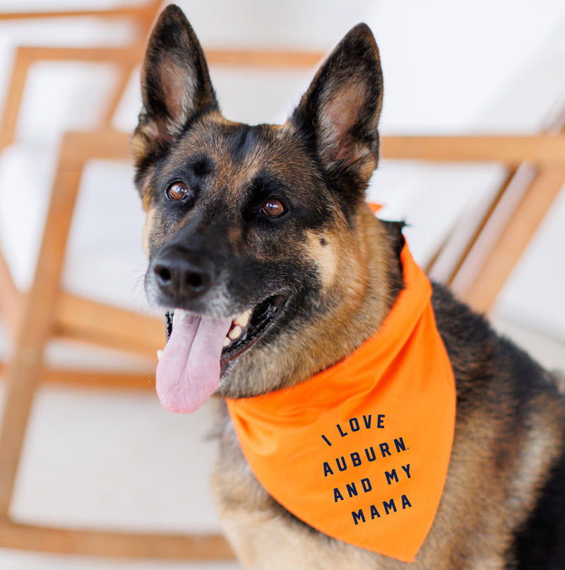 The Auburn and My Mama Orange | Dog Bandana