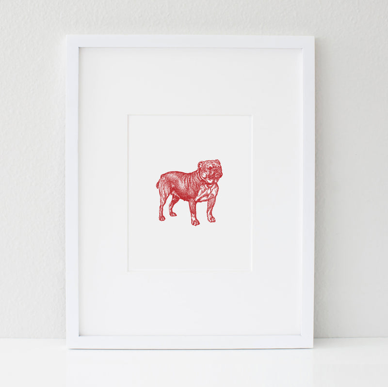 The Bulldog | Digital 8x10 Art Print