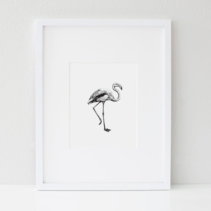 The Flamingo | Digital 8x10 Art Print