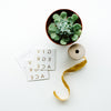 The Give Grace Temporary Tattoo | Pack of 2