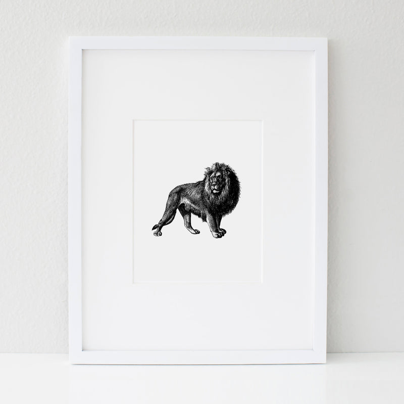 The Lion | Digital 8x10 Art Print