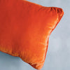 The Auburn University Needlepoint Pillow